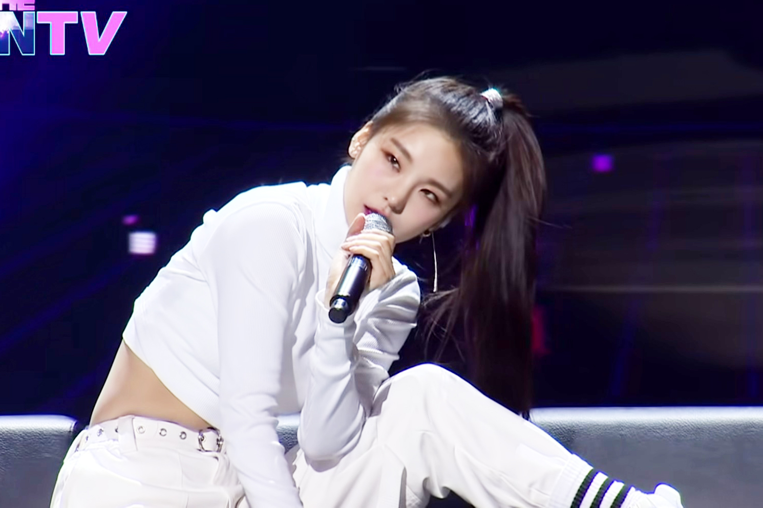 출처 : SBS '더 팬'