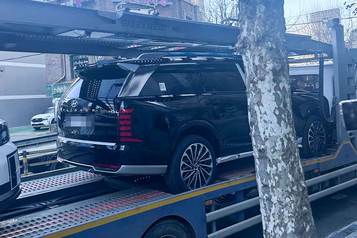 suv-보행자-교통사고-사망위험-세단-승용차