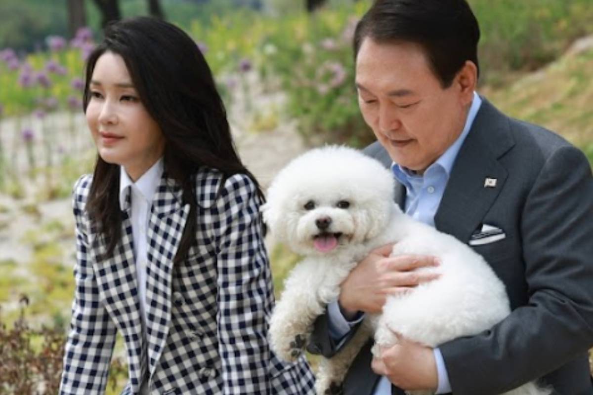 출처 : 뉴스 1