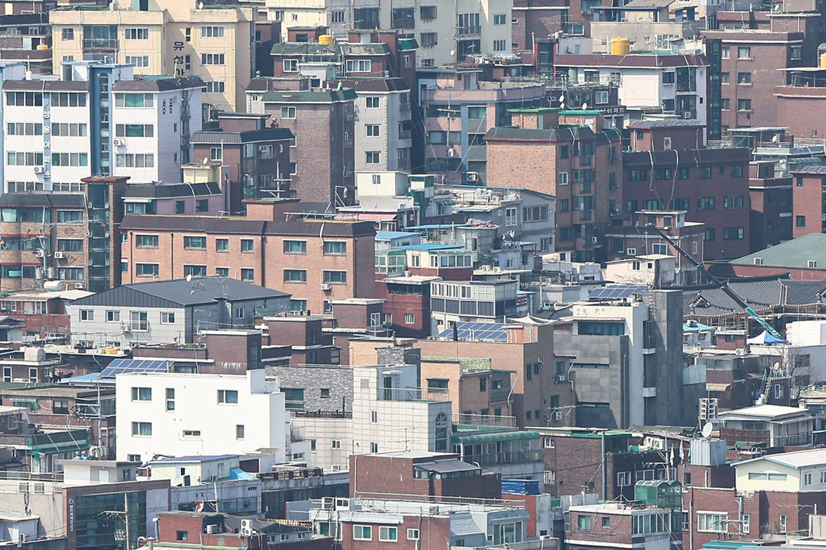 출처 : 뉴스 1