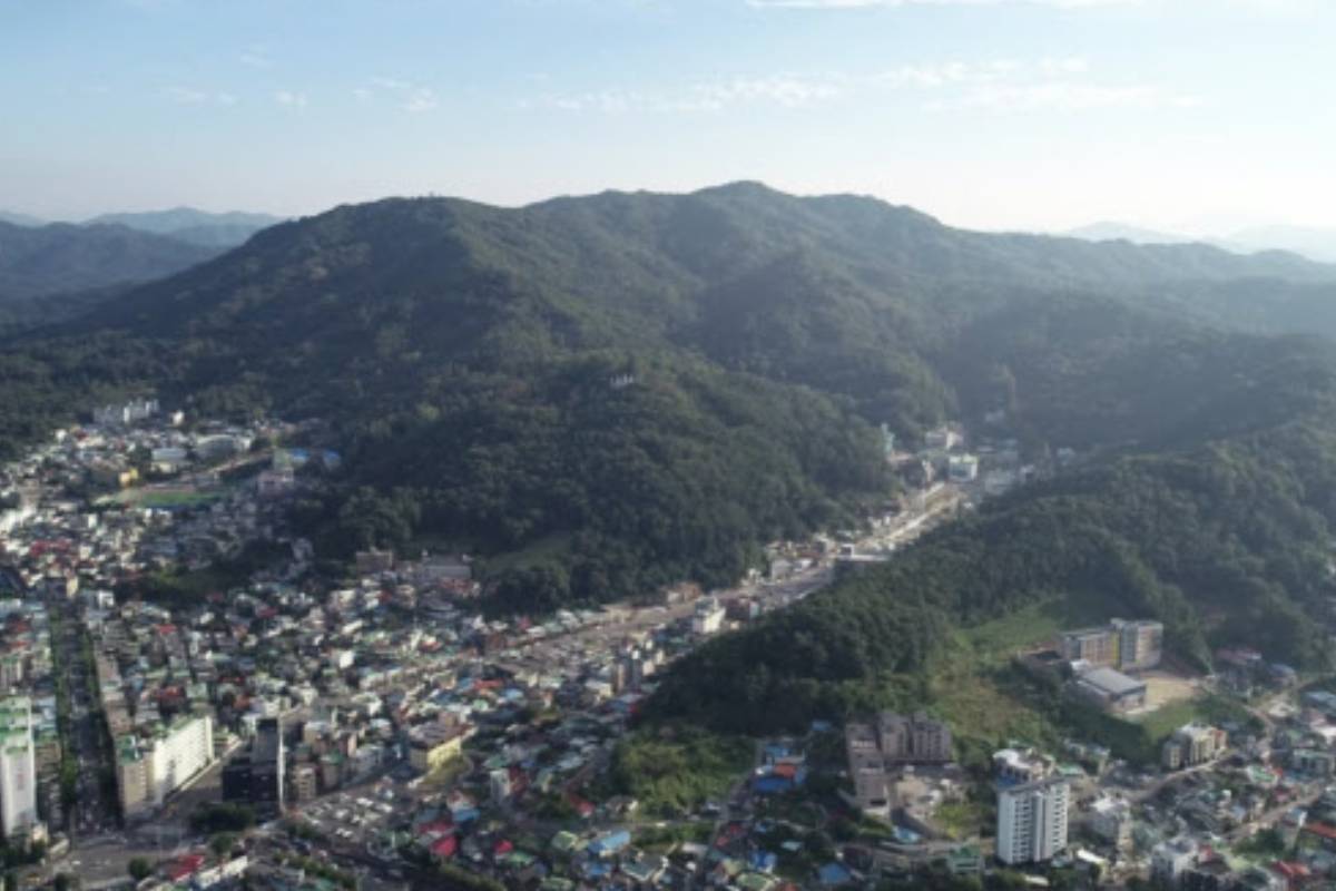 출처 : 대전충남녹색연합