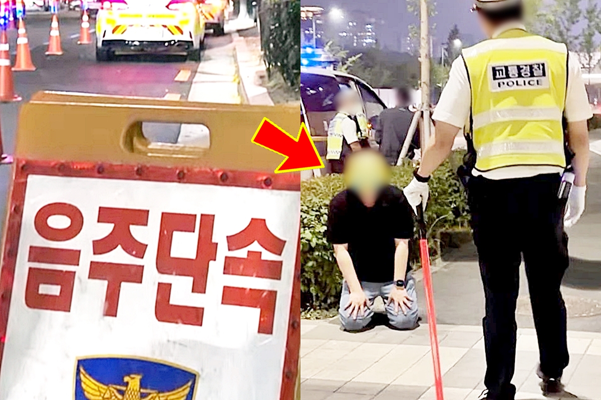 음주운전-과태료