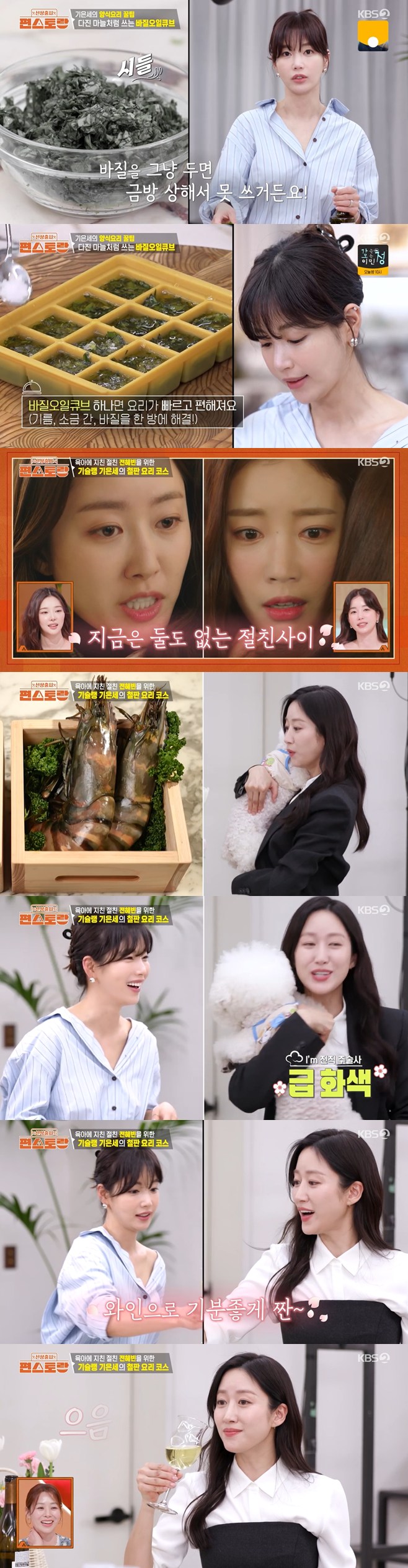 티브이데일리 포토