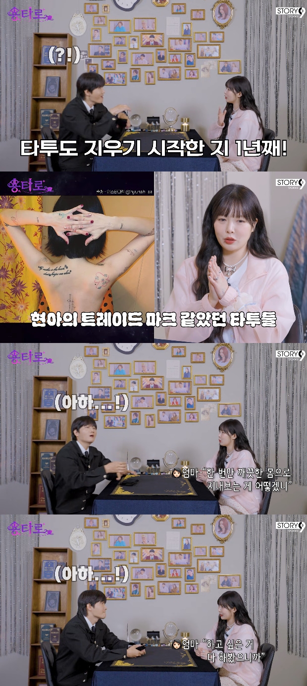티브이데일리 포토