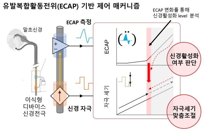ECAP 기반 제어 매커니즘 설명 모식도