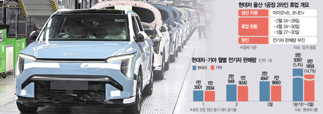 기아 '반값 전기차' 규제 문턱에 급제동…캐즘 돌파구 좌초 위기 [biz-플러스]