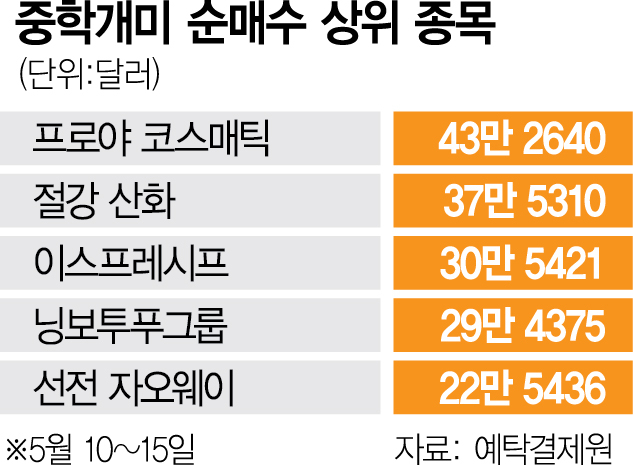 화장품·전기차 부품…중학개미, 내수종목에 몰렸다