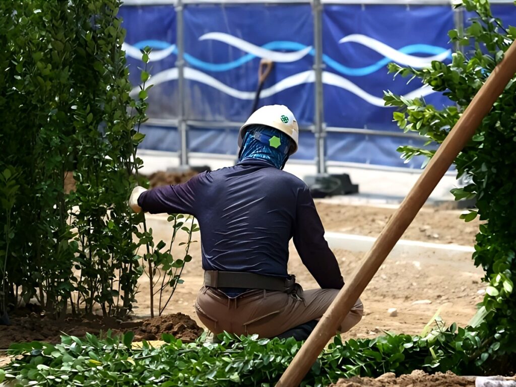 IMF
