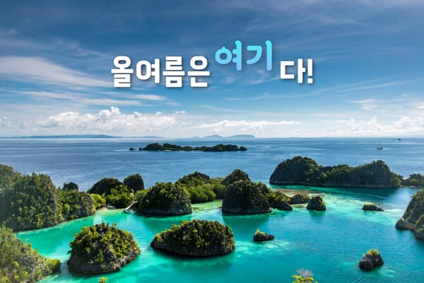 [라자암팟] 스노클링 해외 여행지 4선 / 사진=unplash@suturta budiman