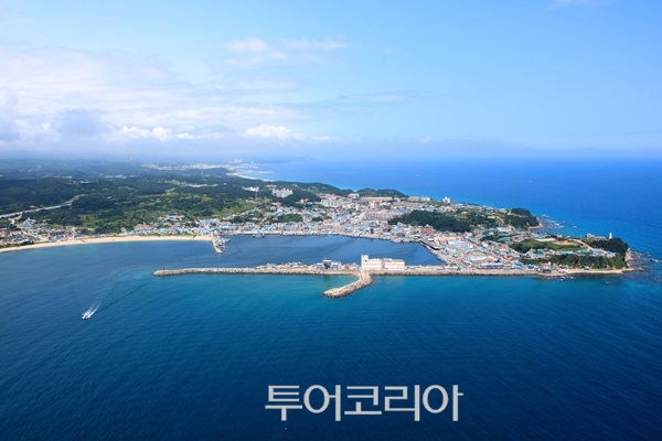 죽변항/사진-울진군