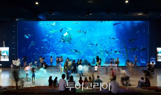한화 아쿠아플라넷 제주