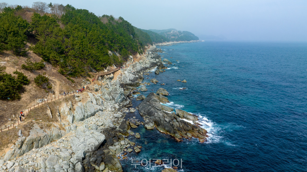  영덕 블루로드. /사진-영덕군