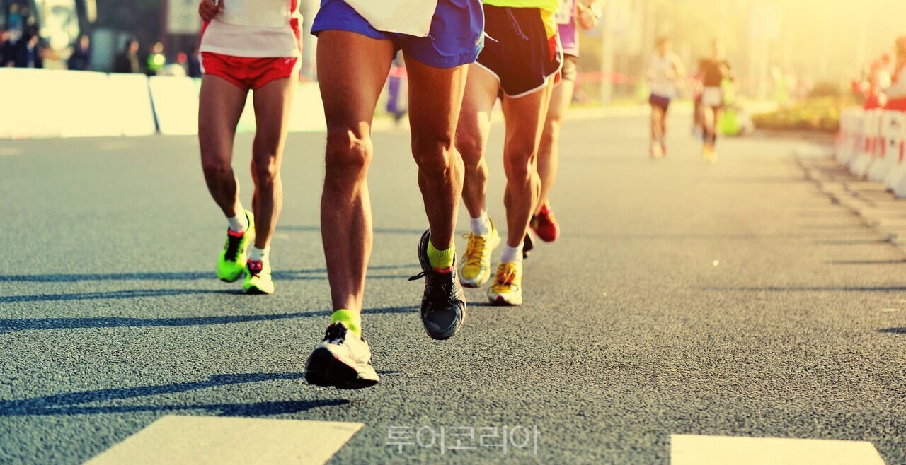 사진-스카이스캐너