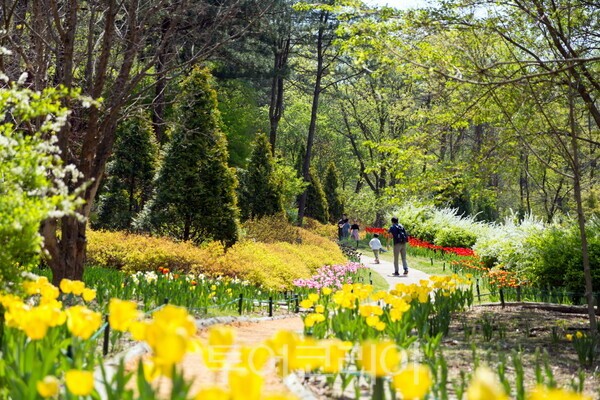 5만 송이 튤립이 만개한 사진 명소 제이드가든의 꽃물결원 전경 /사진=제이드 가든