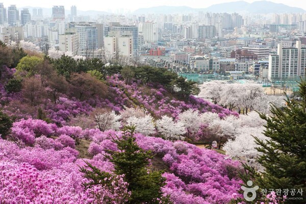 부천 원미공원 (출처 = 한국관광공사 포토코리아-김지호)