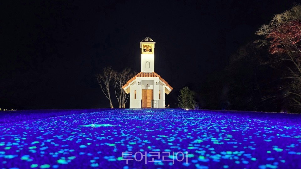 홍천 무궁화수목원 산책로 야경/사진-홍천군