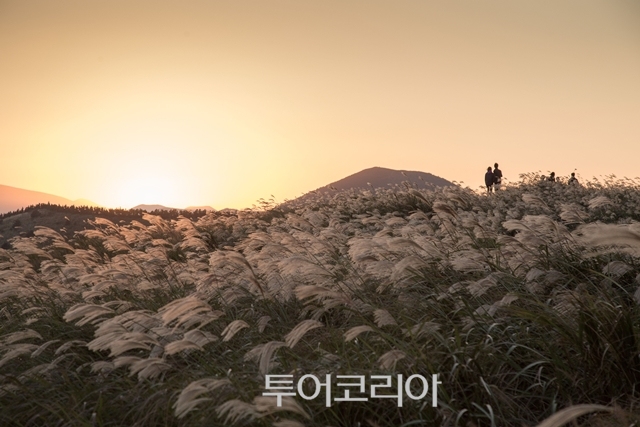 용눈이오름