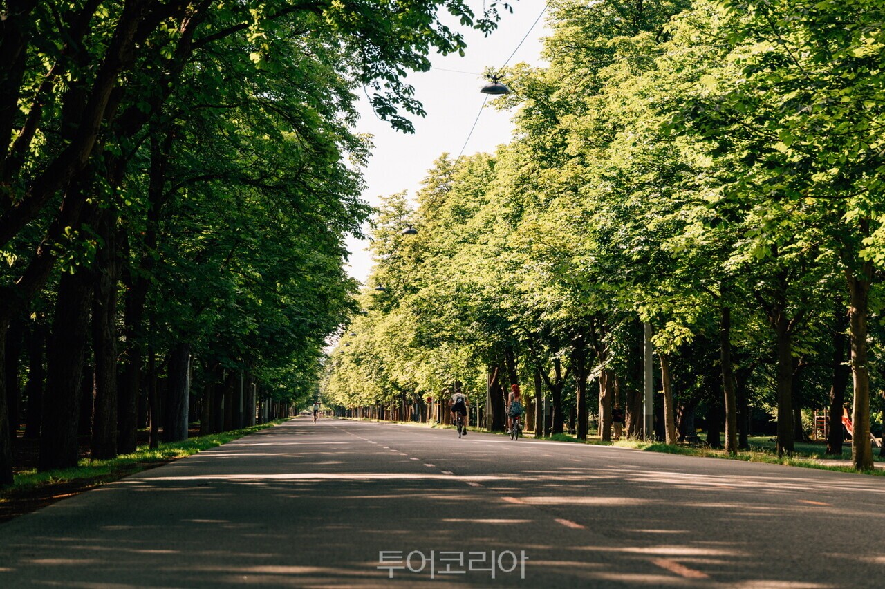  여유롭고 한적한 러닝을 위한 그린 프라터의 하우프탈레 © WienTourismus/Christian Stemper