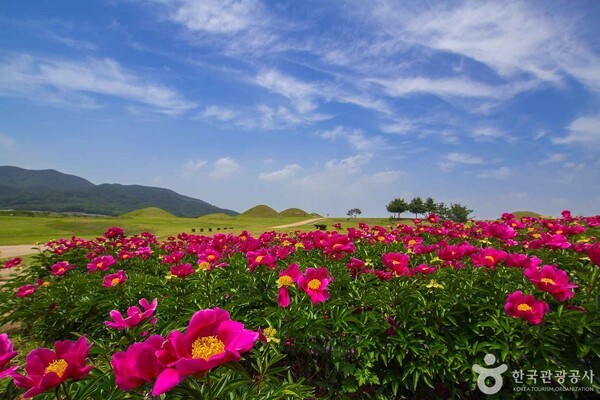 꽃과 능 (ⓒ한국관광공사 포토코리아-오상래)