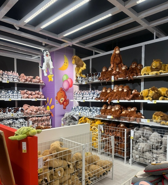 A Chinese person posted photos on their X (formerly Twitter) account claiming to have photographed items in North Korea that could be sold in an IKEA store / Screenshot from X