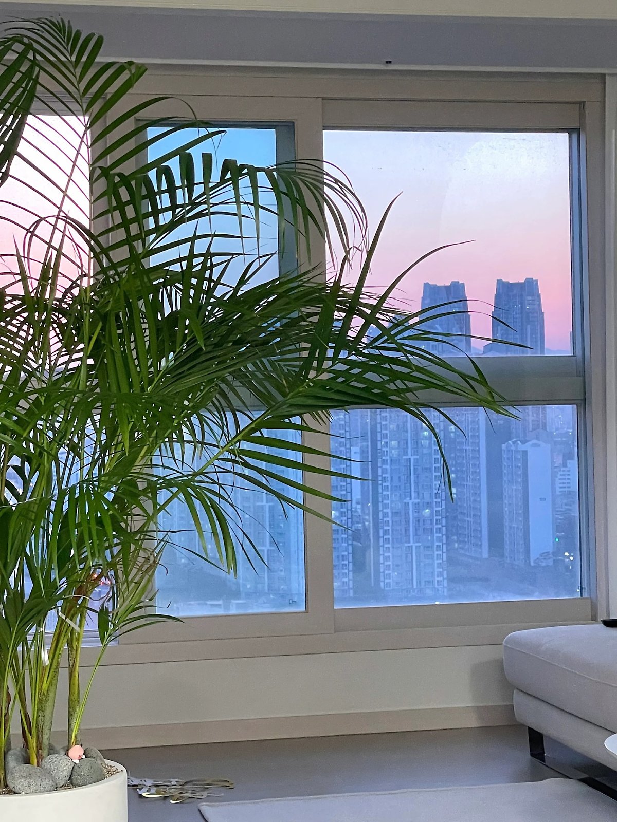 더 많은 정보 알아보기 (▲ 이미지 클릭)