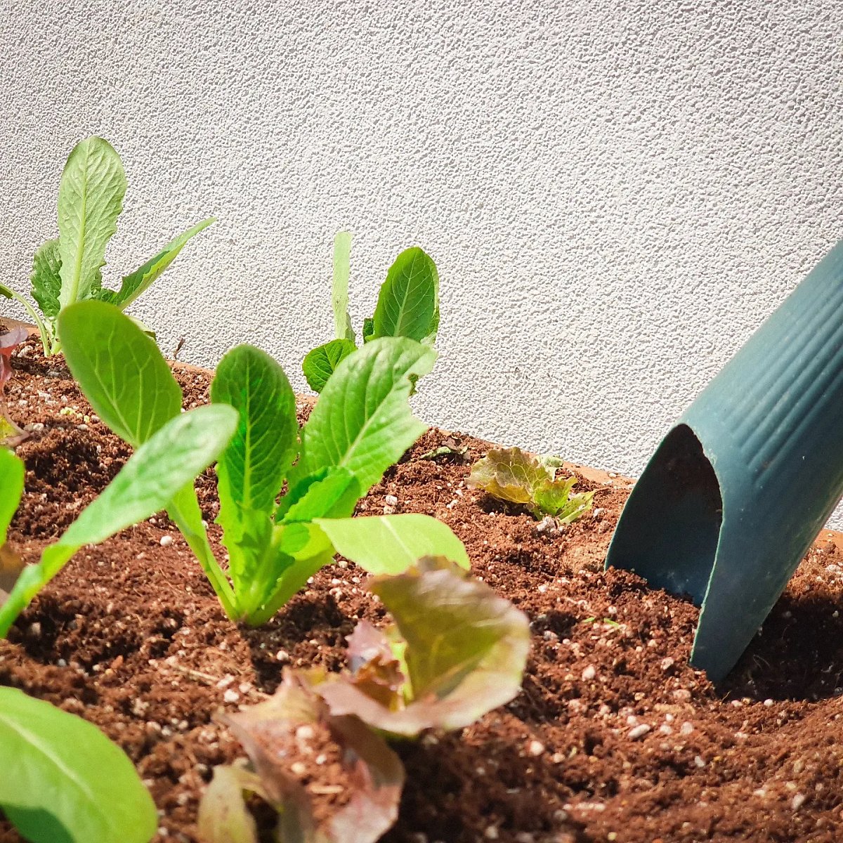더 많은 정보 알아보기 (▲ 이미지 클릭)