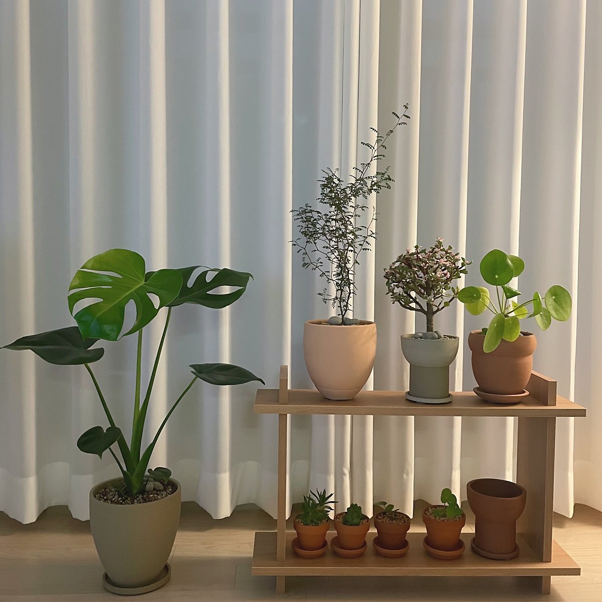 아이템 정보 알아보기 (▲ 이미지 클릭)