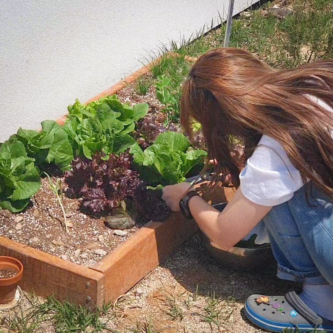 더 많은 정보 알아보기 (▲ 이미지 클릭)