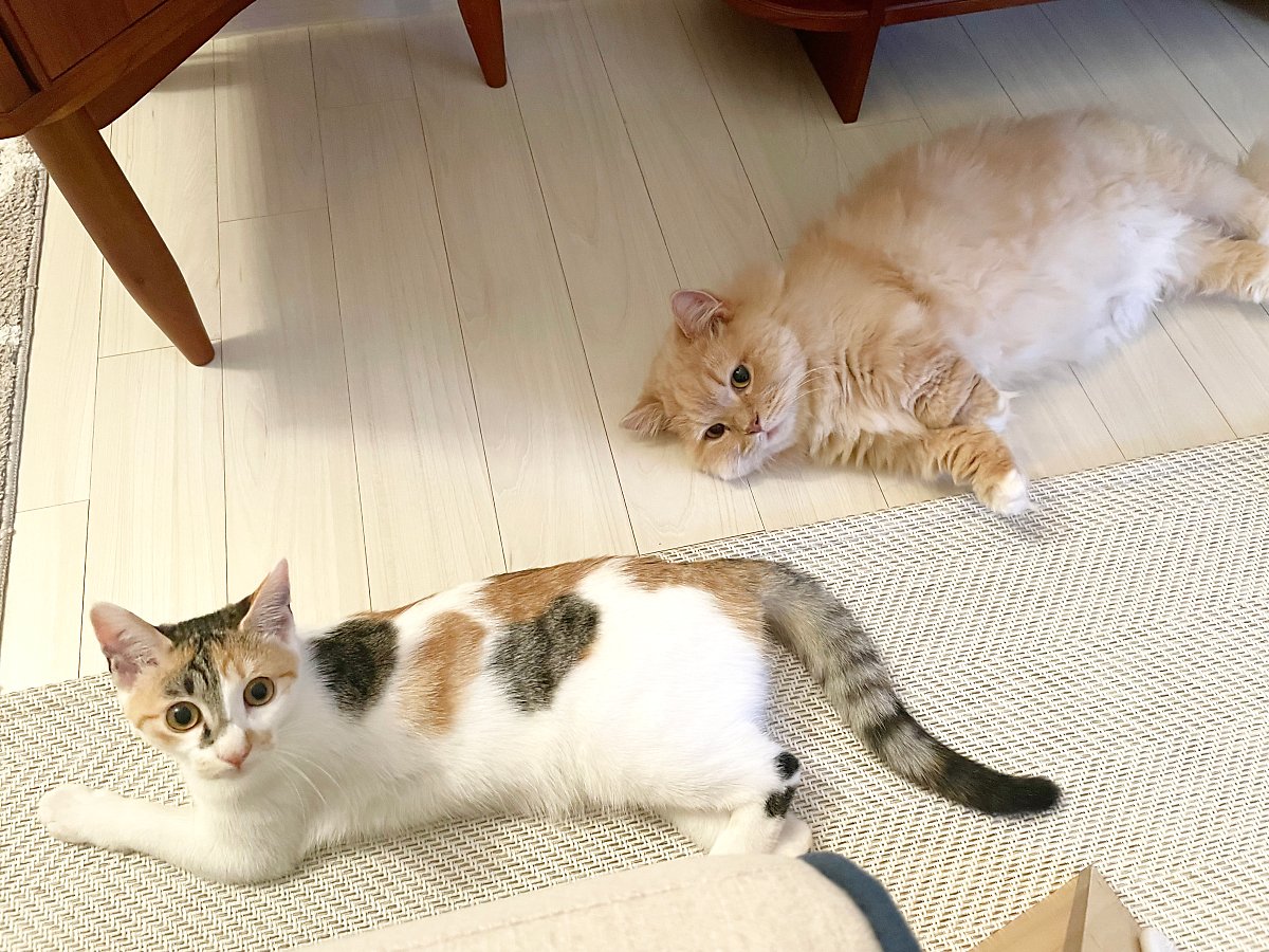 더 많은 정보 알아보기 (▲ 이미지 클릭)
