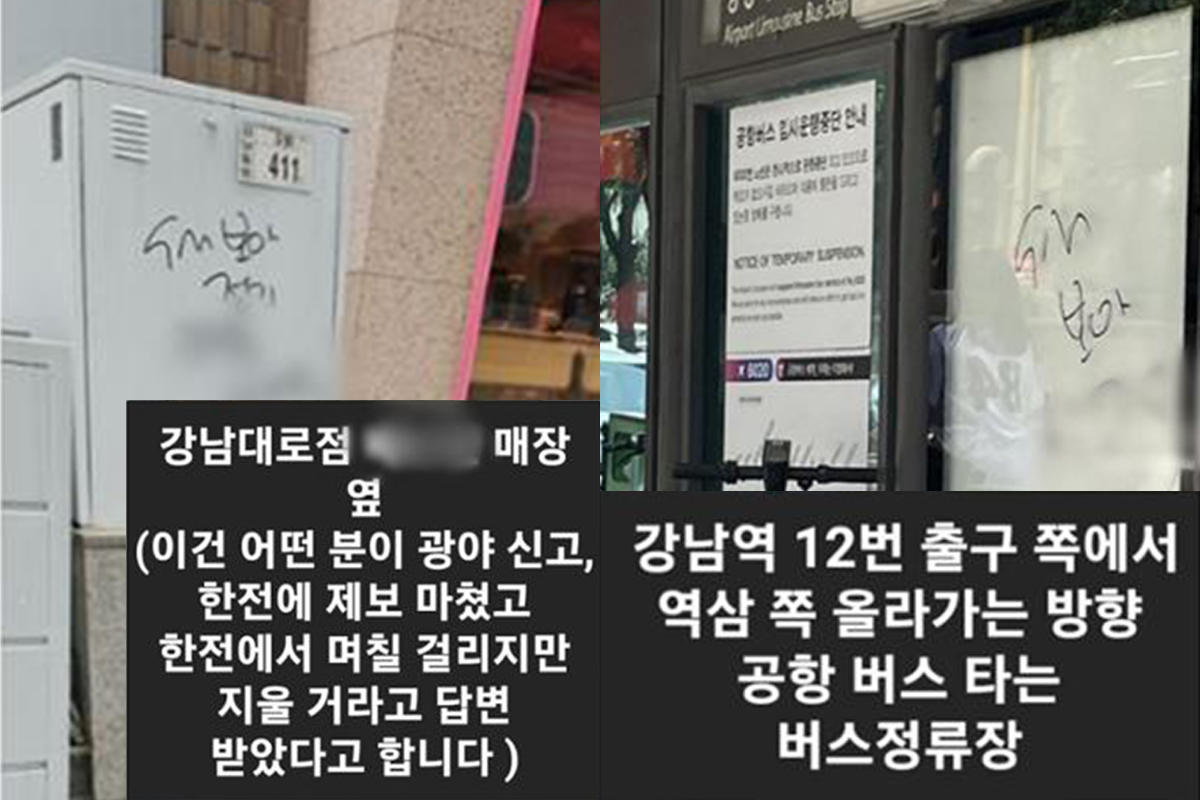 출처 : 온라인 커뮤니티 (X) 