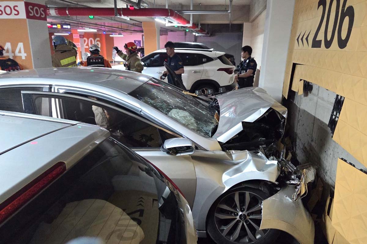 출처 : 세종소방본부