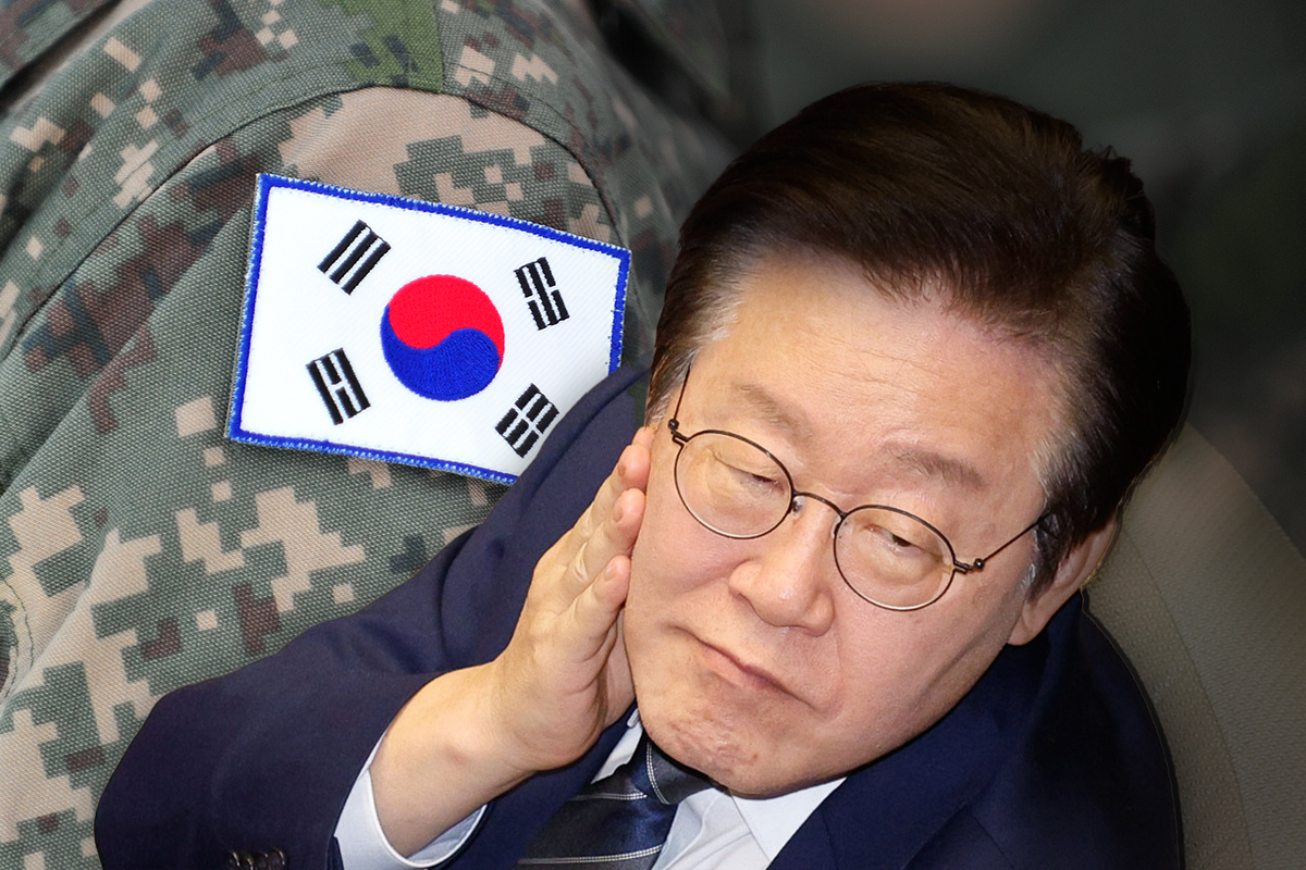 출처: ©️모빌리티TV / 사진=뉴스1, 셔터스톡