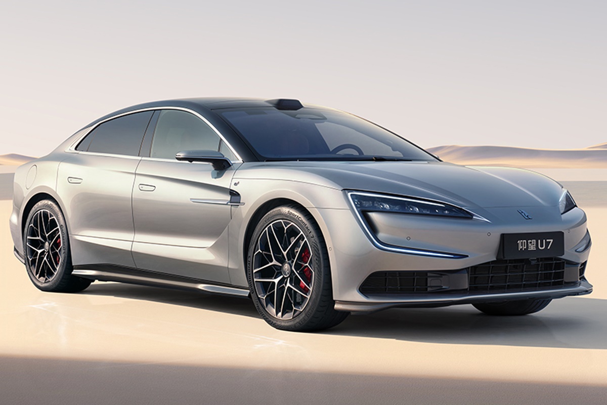 사진 출처 = '양왕'