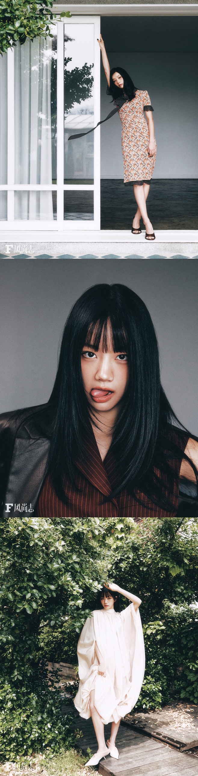 티브이데일리 포토