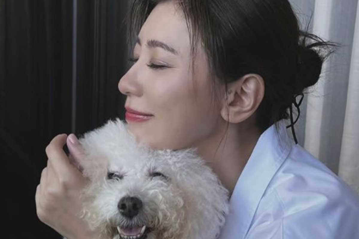 출처 : 자징원 SNS