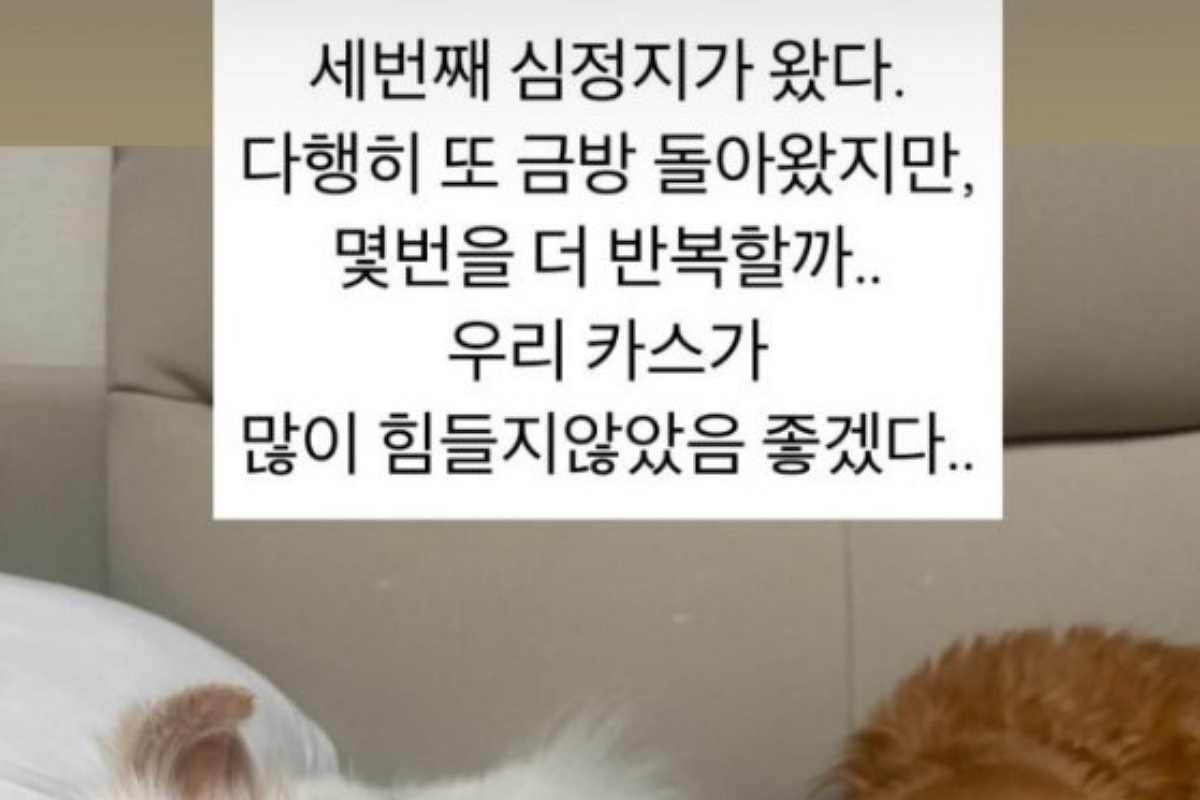 출처: 김하영 SNS