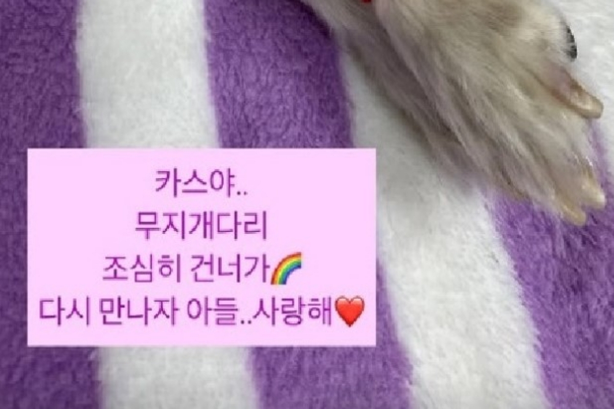 출처: 김하영 SNS