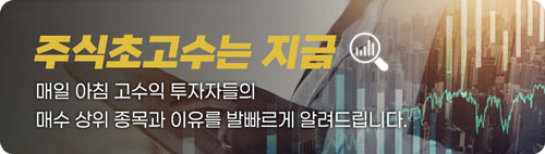 '관세에 내려앉은 주가…저가 매수 기회?' 현대차 순매수 1위[주식 초고수는 지금]
