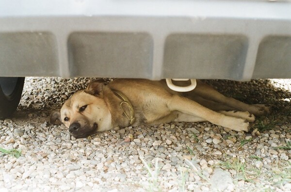 사진=유토이미지