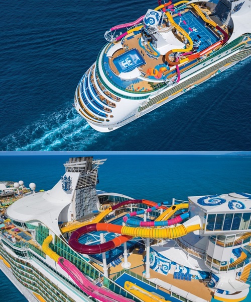 사진= 폴리트립스