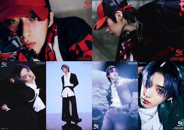 사진=알비더블유