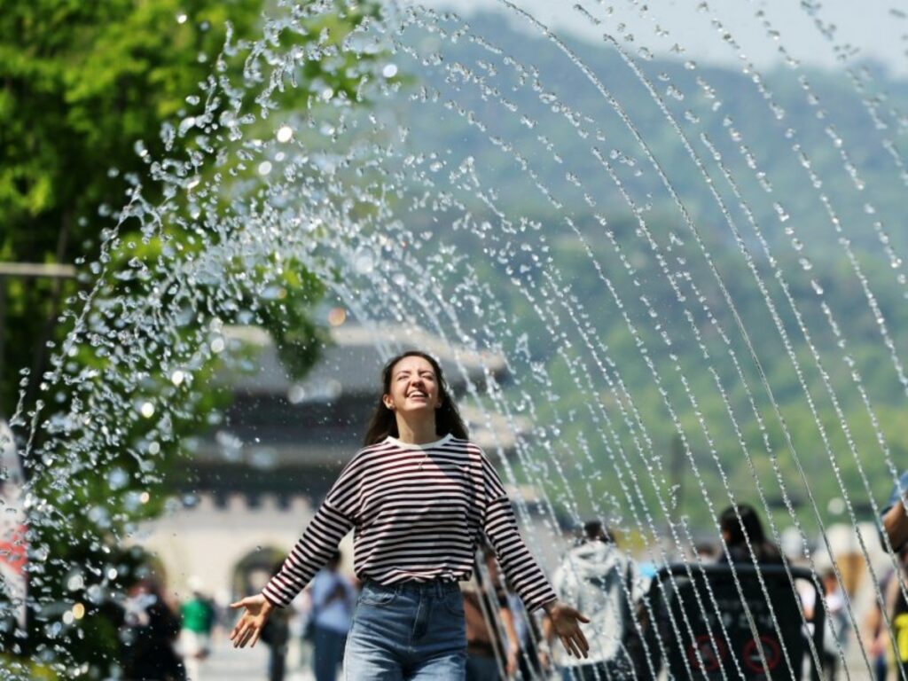 정부