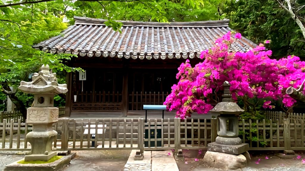 석유화학