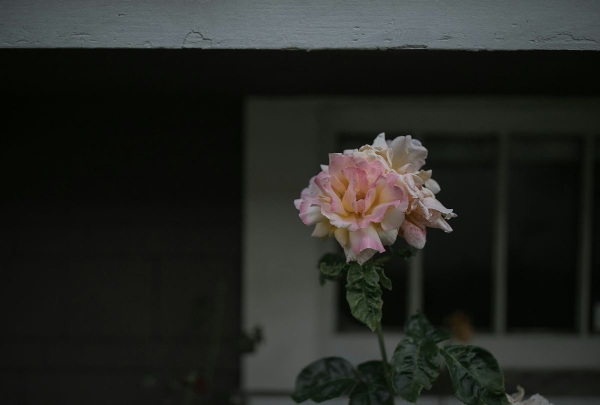 ©unsplash