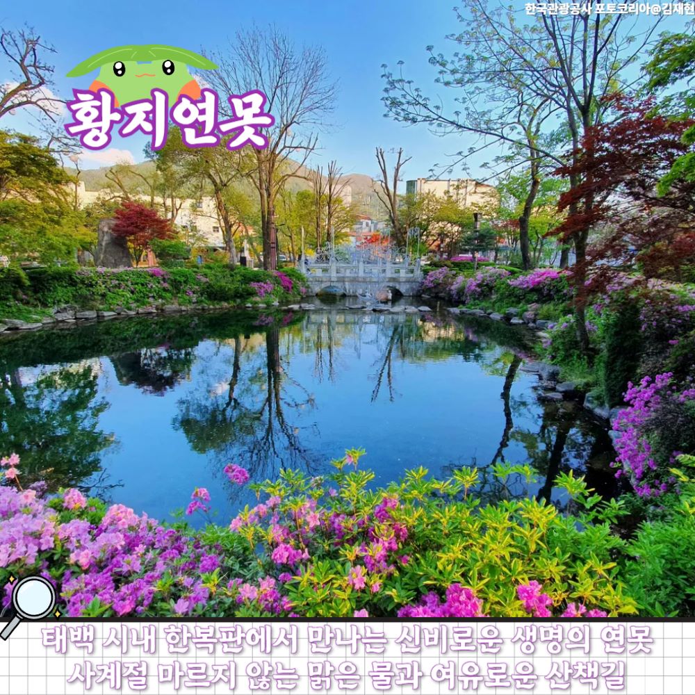 황지연못