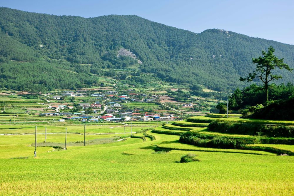 청산도 / 사진=한국관광공사 포토코리아@전형준