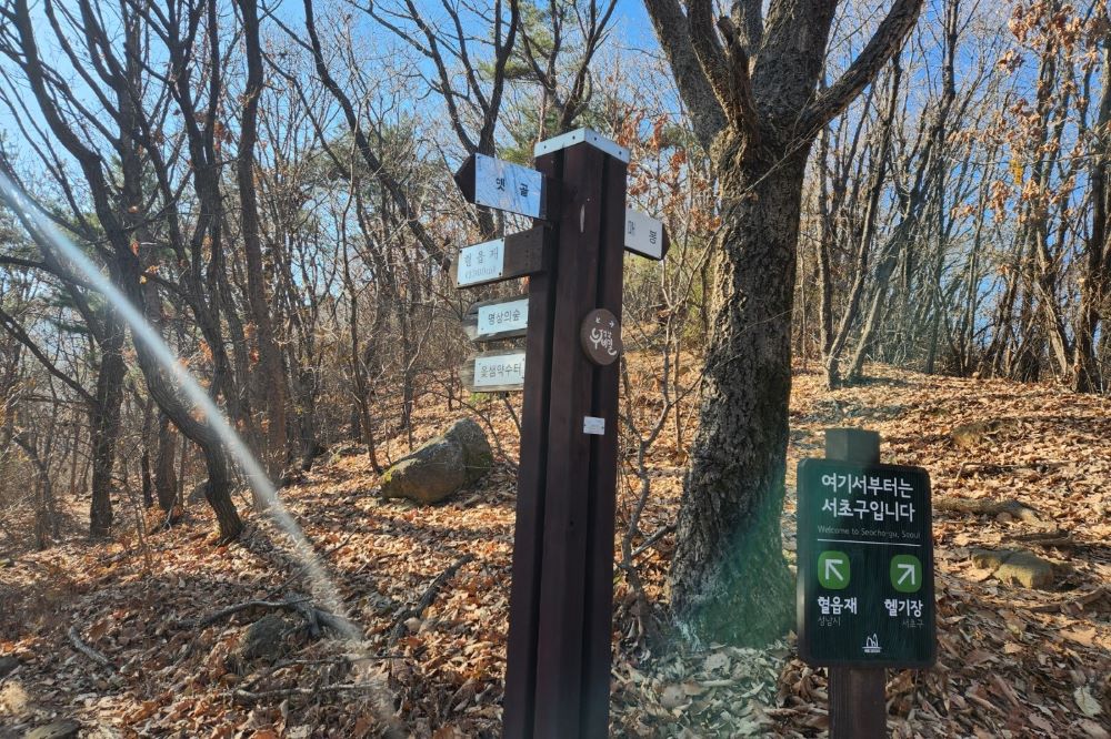 옛골 가는 길 / 직접촬영