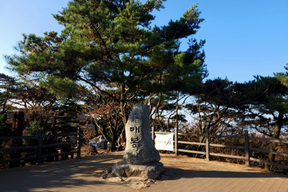 매봉 코스 / 직접촬영