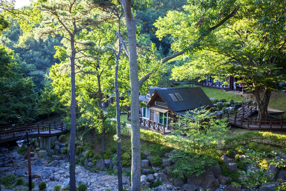 용인자연휴양림 / 사진=경기관광