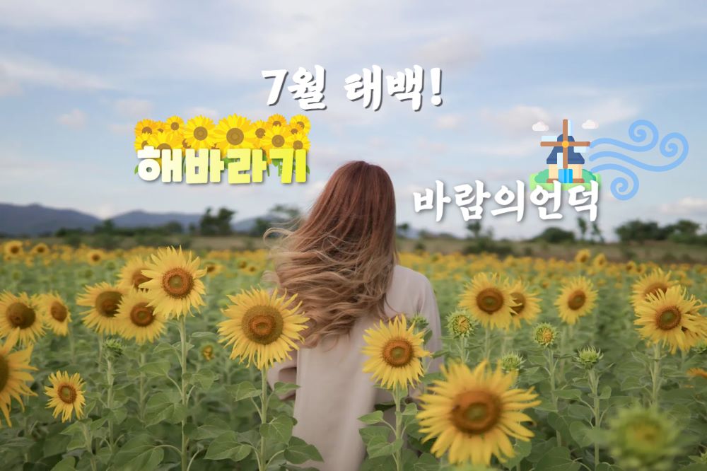 태백 여행 베스트 5 / 인포매틱스뷰
